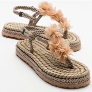 luvishoes santra women`s dark beige flip-flops sandals