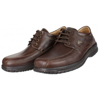 boxer shoes 14723 brown