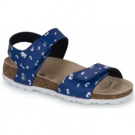 citrouille et compagnie