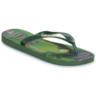  σαγιονάρες havaianas ipê