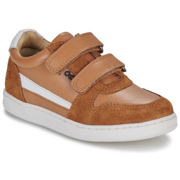 xαμηλά sneakers citrouille et compagnie