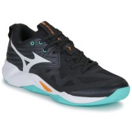  παπούτσια sport mizuno wave momentum pro