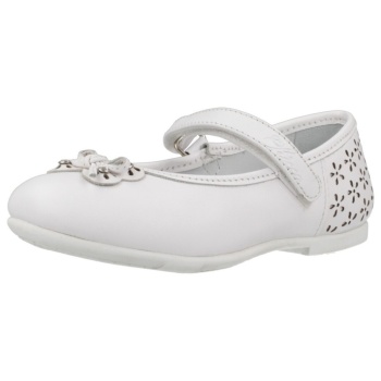 derbies chicco cedrina | σε προσφορά