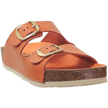 mules plakton cp beta mic square |