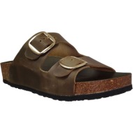  mules plakton cp beta mic square |