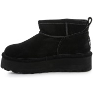 bearpaw