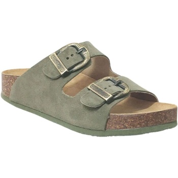 mules plakton cp beta west |