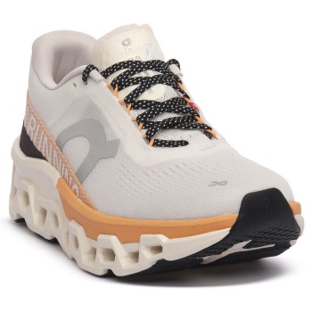 παπούτσια για τρέξιμο on cloudmonster |