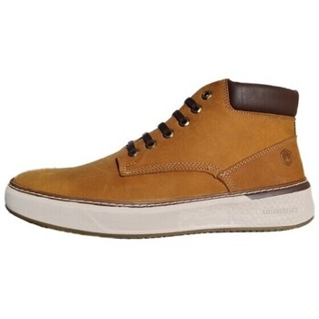 ψηλά sneakers lumberjack scott σε προσφορά