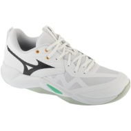  xαμηλά sneakers mizuno wave momentum pro |