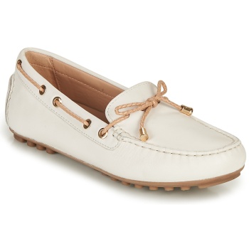 boat shoes geox d leelyan c | σε προσφορά