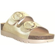  mules plakton memory |