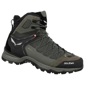 πεζοπορίας salewa trainer liteid gtx |