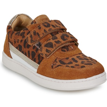 xαμηλά sneakers citrouille et compagnie