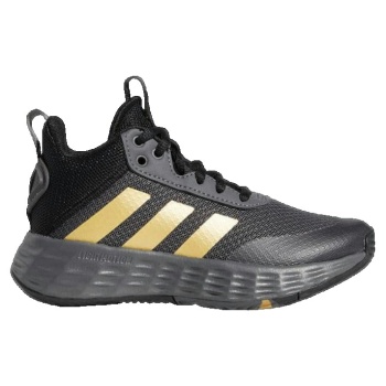 παπούτσια του μπάσκετ adidas ownthegame