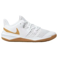  παπούτσια για τρέξιμο nike zoom hyperspeed court |