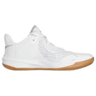  παπούτσια του μπάσκετ nike hyperspeed court hes |