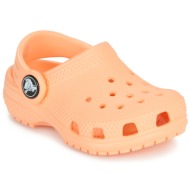  τσόκαρα crocs classic clog t