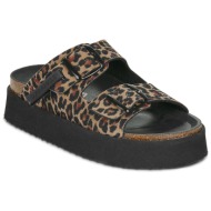  mules d.franklin vibe biochampion