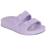  mules cacatoès belo horzonte babies