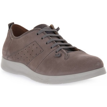 derbies grunland grigio mico