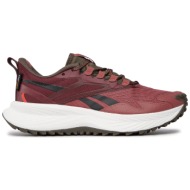  παπούτσια reebok floatride energy 5 adventure hq9061 sedona rose-r/classic maroon/grout