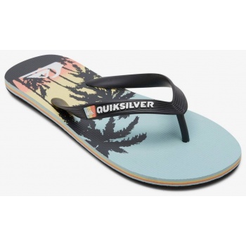 men`s flip flops quiksilver molokai art