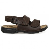  polaris sandals - brown - flat