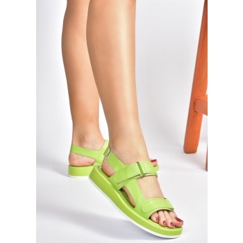 fox shoes green women`s daily velcro σε προσφορά