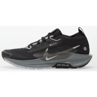  nike pegasus trail 5 gtx black/ wolf grey-cool grey-anthracite-reflect silver