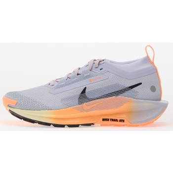 nike pegasus trail 5 gore-tex ghost/ σε προσφορά