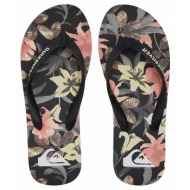  quiksilver molokai art aqyl101264-kvj1 πολύχρωμο