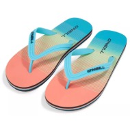  o`neill profile graphic sandals 2400036-22511 πολύχρωμο