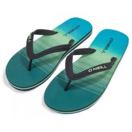  o`neill profile graphic sandals 2400036-26019 πετρόλ