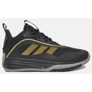  adidas ownthegame 3.0 if4566-black black