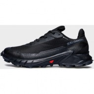  salomon trail running shoes alphacross 5 gtx black (9000160395_48932)