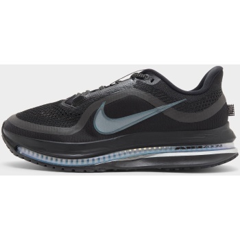 nike pegasus premium (9000232869_86143)