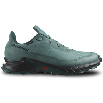 salomon alphacross 5 gore-tex ανδρικά σε προσφορά