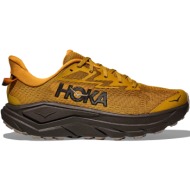 hoka one one