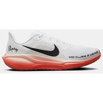 nike air zoom pegasus 41 ek