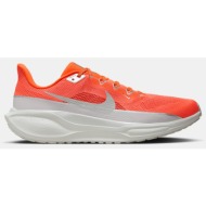  nike air zoom pegasus 41 prm (9000190792_46823)