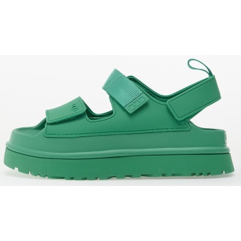 ugg w goldenglow hummingbird