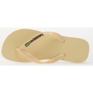  havaianas brasil logo buttercream