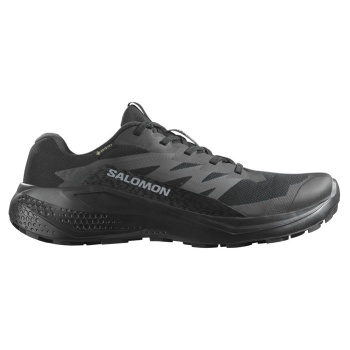 salomon 478021 alphaglide gtx black