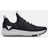  under armour ua project rock bsr 4 (9000167562_73291)