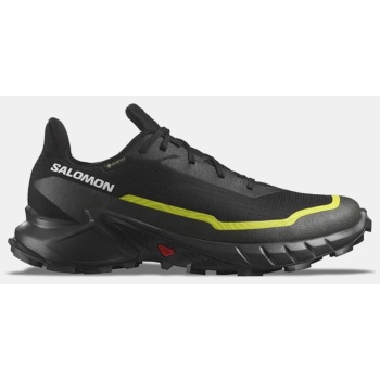 salomon trail running shoes alphacross