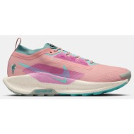  nike pegasus trail 5 gtx (9000191126_78605)