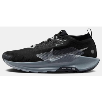 nike pegasus 5 gore-tex ανδρικά trail