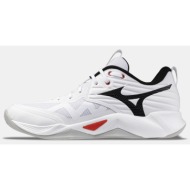 mizuno wave momentum pro ανδρικά παπούτσια για βόλεϊ (9000267161_93162)