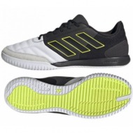  adidas top sala competition in gy9055 shoes